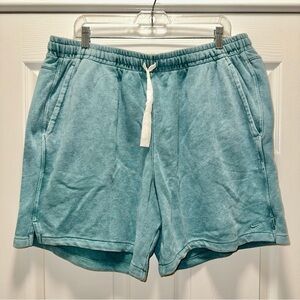 Nike Shorts NWT